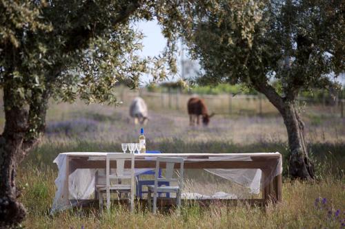 Ferreira do Alentejo Cama Y Desayuno | Quinta dos doze Sobreiros - Quarto Sol