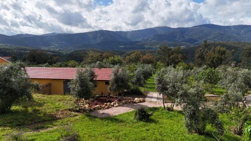 Serpins Apartamento | Quinta-lina de serpins