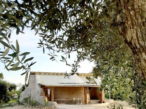 Penamacor Casa | Quinta Terramadome: Dome incomum & responsável