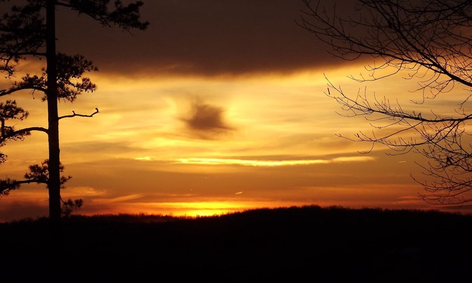 Licking Casa | Quite beautiful pine forest vista overlooking the Big Piney River.