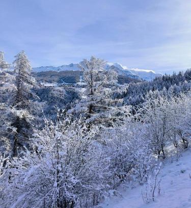 Bellentre Apartamento | Résidence Le Rami Les Coches - La Plagne