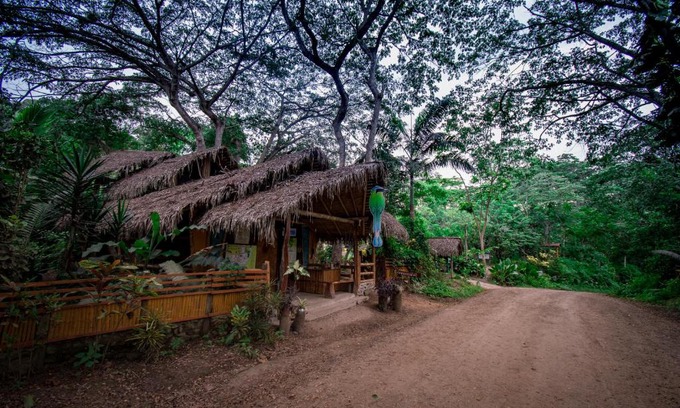 Canoa Cabina | Río Muchacho Organic Farm