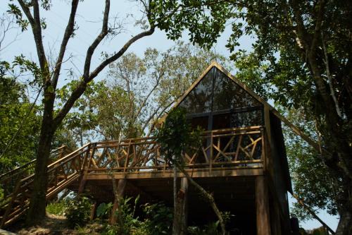 San Carlos Cama Y Desayuno | RíoBosque Cabañas de lujo frente al rio desayuno incluido san carlos antioquia