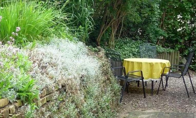 Bergen auf Ruegen Apartamento | Rügen Fewo 91 Buchenwinkel
