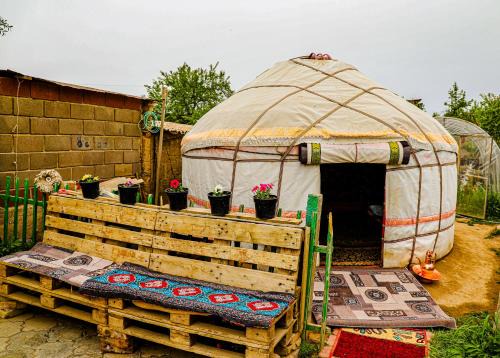 Bokonbayevo Casa | Rabiya