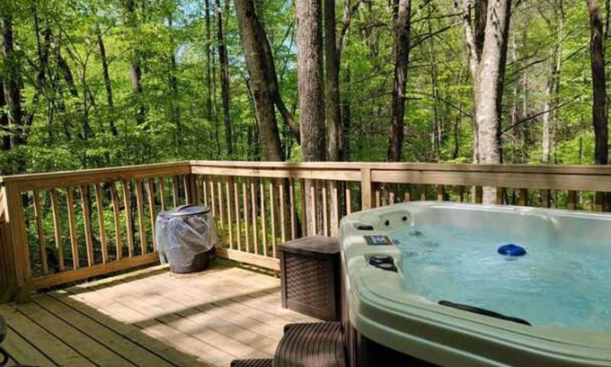 Suches Cabaña | Raccoon's Nook Tiny Home