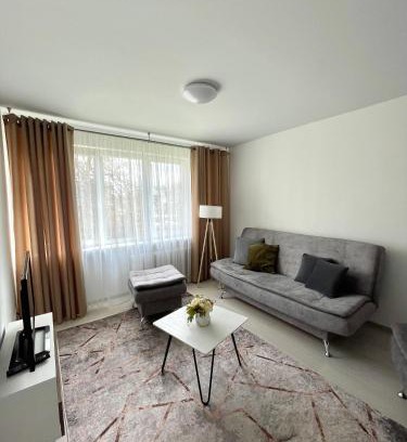 Radviliskis Apartamento | Radvilų apartamentai