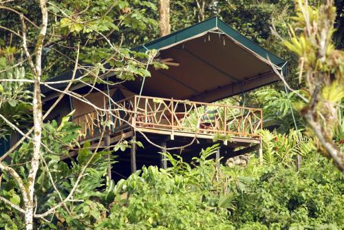Canton Quepos Cabina | Rafiki Safari Lodge
