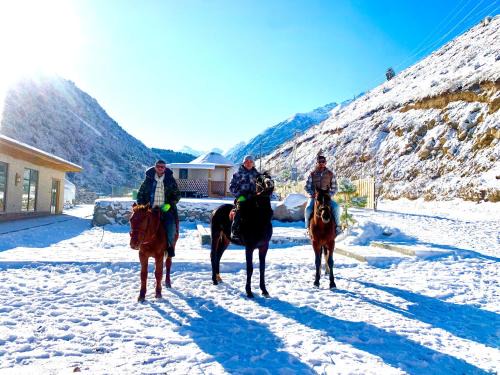 Chuy Province Cama Y Desayuno | RAHMAT yurts