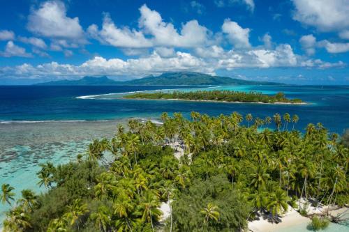 Teahupoo Casa | RAIATEA - Fare Apetahi