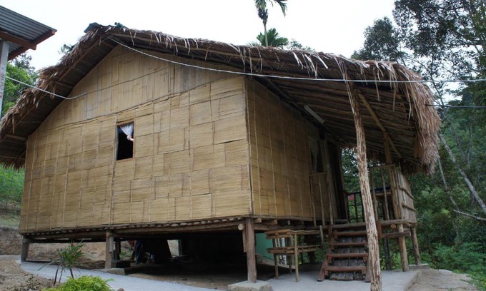 Ringlet Cabina | Rain Forest Inn