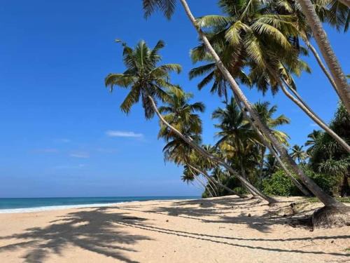 Hikkaduwa Hotel | Rainbow Beach Hotel
