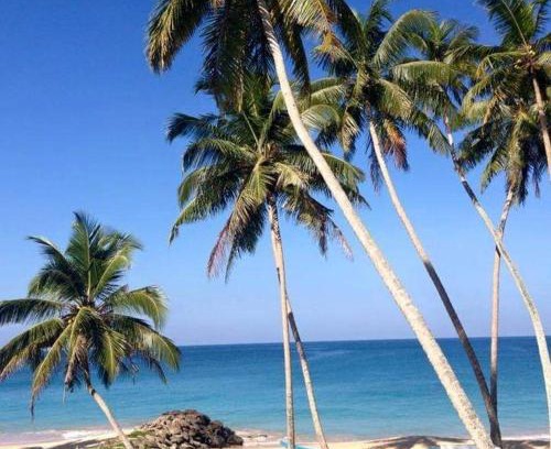 Hikkaduwa Hotel | Rainbow Beach Hotel