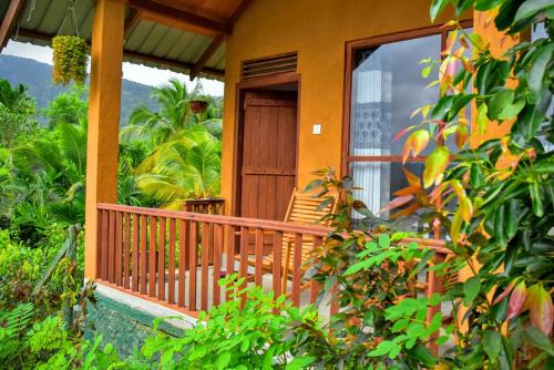 Kotapola Cabina | Rainforest Nature House