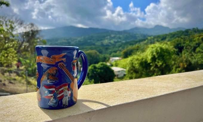 Guzman Abajo Casa | Rainforest Relaxation at Casa Golden Coqui