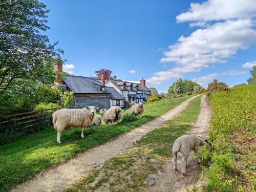 Aymestrey Casa | Ramblers Rest