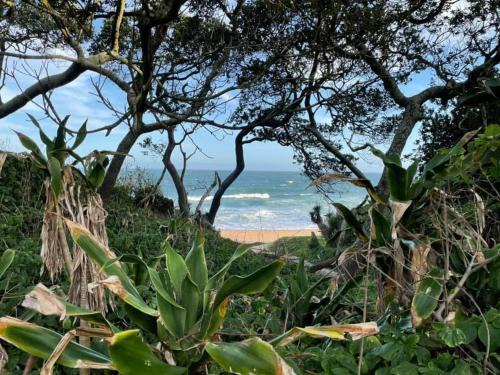 Zinkwazi Beach Casa | RAMBLiNN