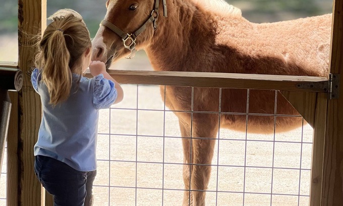 Centerville Cabina | Ranch Lodge - A Texas Ranch Stay