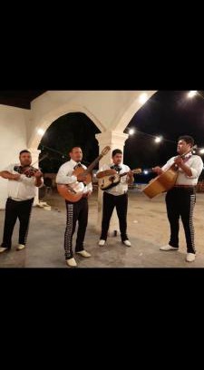 Saucillo Otro | Rancho San Esteban Eventos