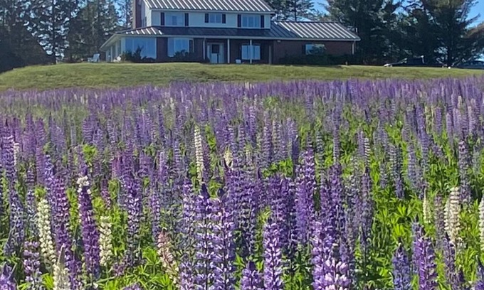 Rangeley Casa | Rangeley Golf Course House, Lake Access, Close to downtown