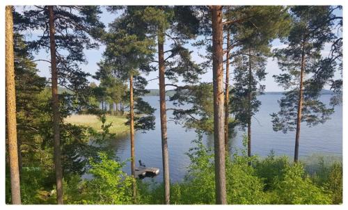 Jamsa Casa | RANTATALO ONNELAN LUMO 12 hlöä- 220m2 Himos 10min autolla