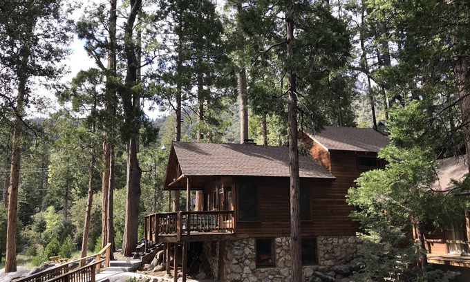Fern Valley Cabina | Rare & Authentic in Prime Location, Views, Chef Kitchen & Style