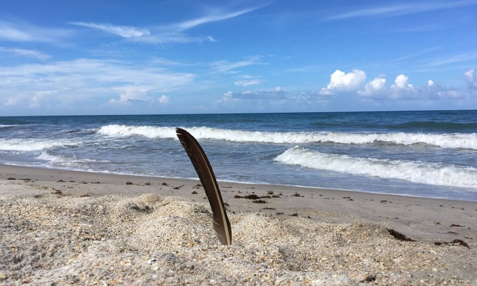 Vero Beach Casa | Rare experience at Old Florida mid-century seaside estate