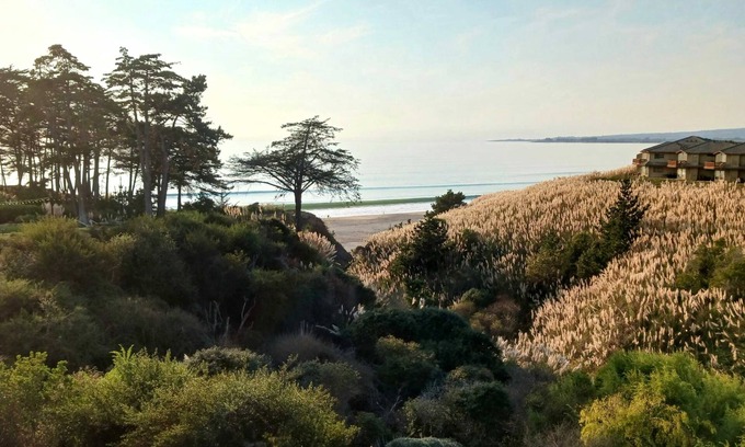 Rio del Mar Condominio | Rare Oceanview Studio Seascape Resort!