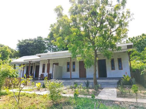 Jerowaru Hotel | Rasta Homestay Ekas Bay