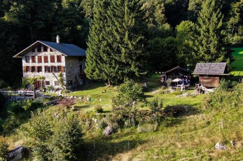 Reichenbach Apartamento | Rauft-Perfekter Rückzugsort für besondere Feierlichkeiten 2500 m2 Grundstück mitten in der Natur