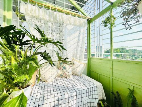 Ngo Quyen Casa | Ray Studio