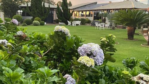Gama Casa | Recanto das Eugenias
