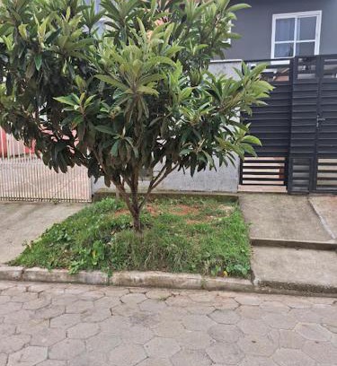 Rio Vermelho Norte Casa | Recanto das gérberas