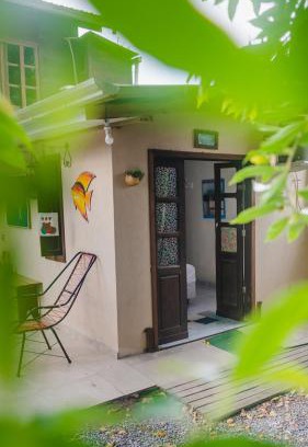 Ze Amandio Casa | Recanto Mico Leao