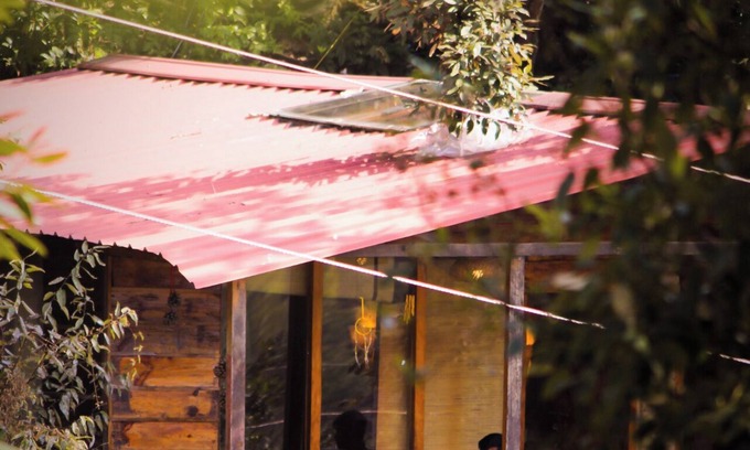 Mukteshwar Cabina | Reconnect with nature, heal your mind, body, and soul.