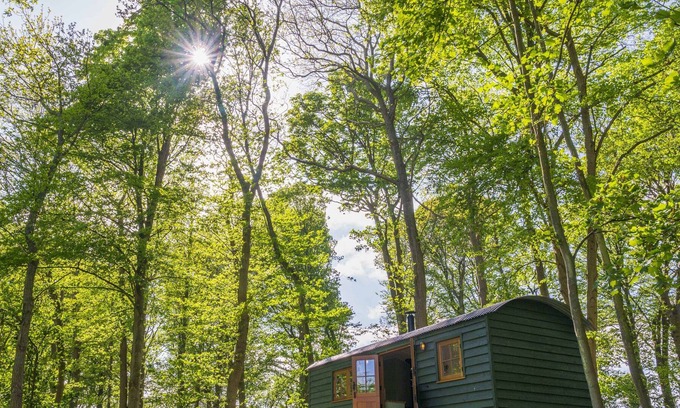 Maidensgrove Apartamento | Red Kite Retreat - Bluebell - Shepherds Hut 1