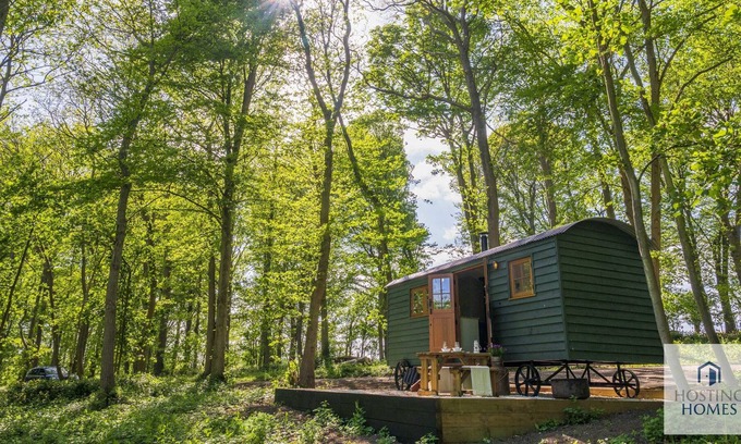 Maidensgrove Cabina | Red Kite Retreat - Four Stunning Woodland Cabins