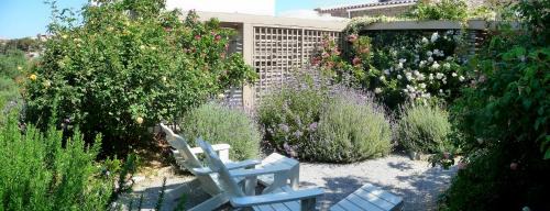 Korissia Casa | Red Tractor Farm