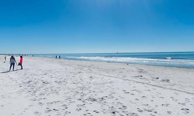 North Redington Beach Condominio | Redington Directly on the Beach Sea Rocket WiFi Parking 26