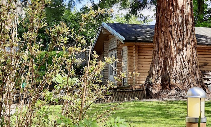 Sandhurst Cabina | Redwood Lodge: unwind in your very own log cabin
