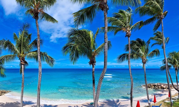 Reeds Bay Condominio | Reeds House 12 Luxury condo