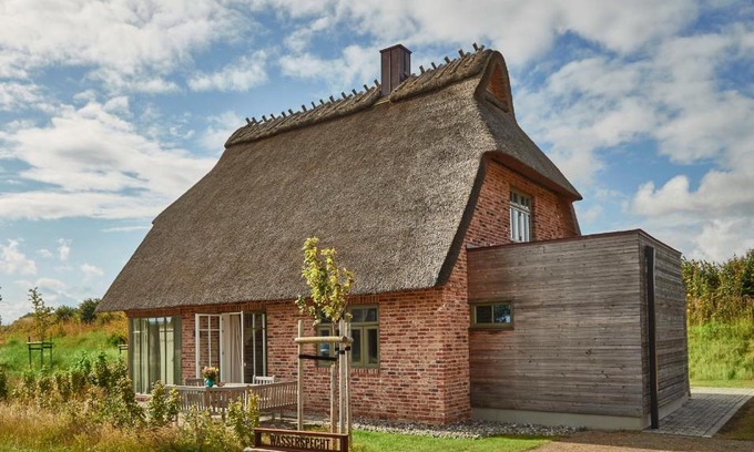 Nieby Casa | Reetdorf Geltinger Birk Künstlerkate Wasserspecht