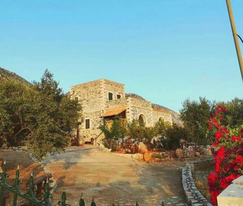 Omales Casa | Refoulo Tower