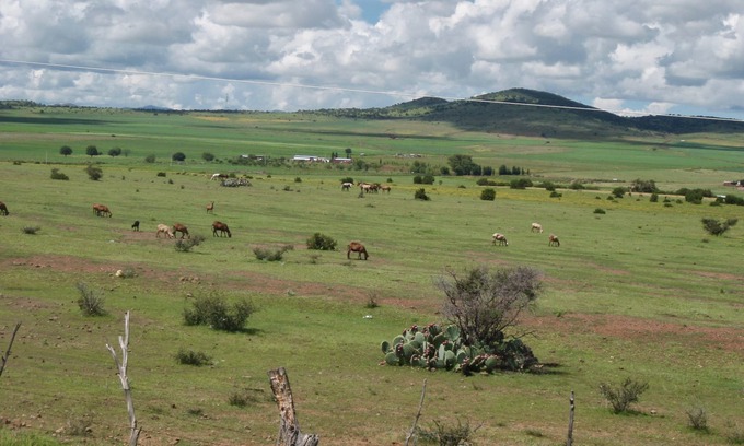 Cuauhtémoc Cabina | "Refugio en la Naturaleza: Cabaña Independiente para tu Estancia Perfecta"
