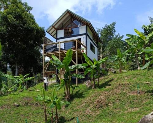 San Carlos Casa | Refugio Cabaña San Carlos Antioquía C