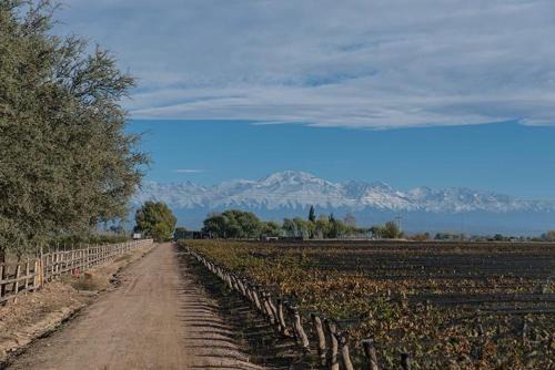 Tupungato Casa | Refugio exclusivo entre Viñedos y Cordillera