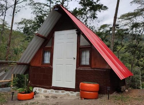 El Colegio Otro | Refugio los naranjales