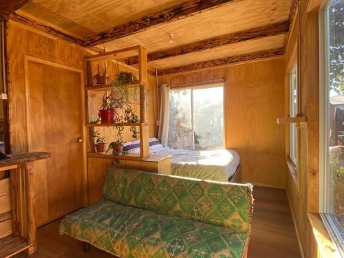 Luis Soto Casa | Refugio nativo