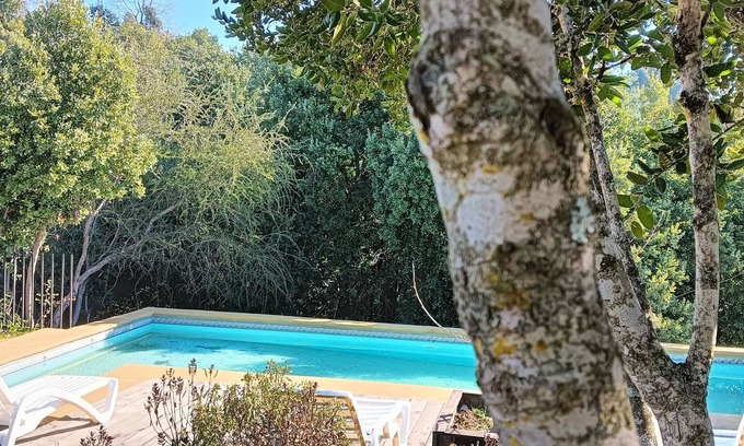 Bajos de Lircay Casa | Refugio Silvestre