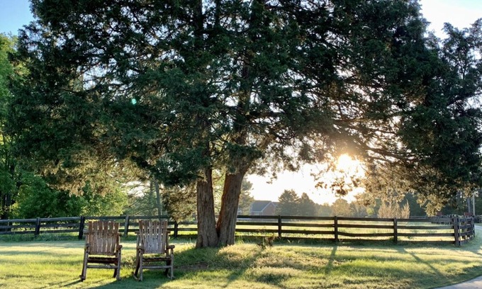 Oxford Apartamento | Regal Ranch Retreat *DOG & HORSE FRIENDLY*